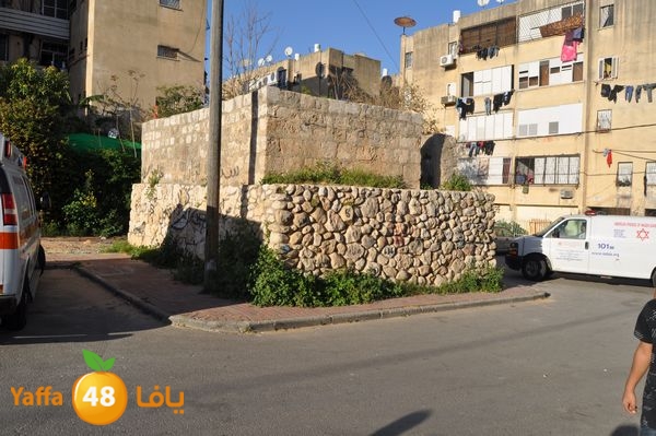 snakeluds310 (4).JPG